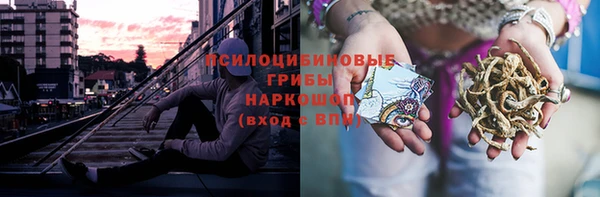 дурь Алексеевка