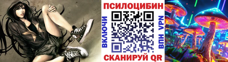 Галлюциногенные грибы Psilocybe  где можно купить наркотик  Кондопога 